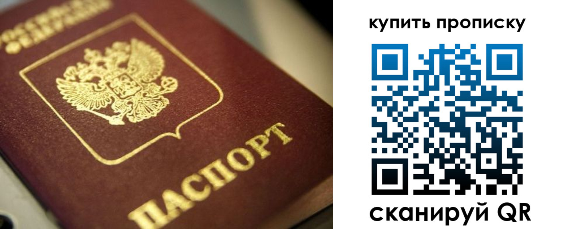 прописка поиск в Скопине